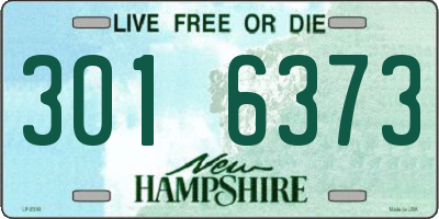 NH license plate 3016373