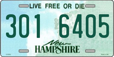 NH license plate 3016405