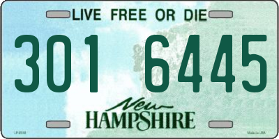 NH license plate 3016445