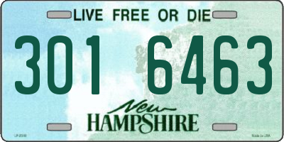 NH license plate 3016463