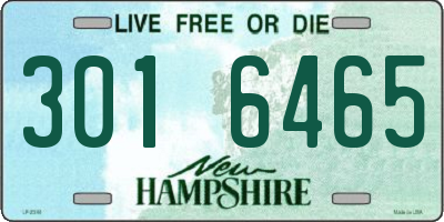NH license plate 3016465