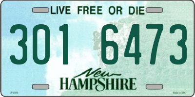 NH license plate 3016473