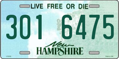 NH license plate 3016475