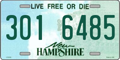 NH license plate 3016485