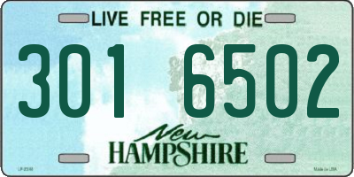 NH license plate 3016502
