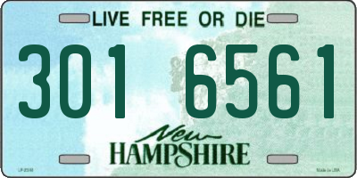 NH license plate 3016561