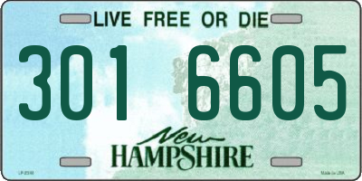 NH license plate 3016605