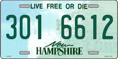 NH license plate 3016612
