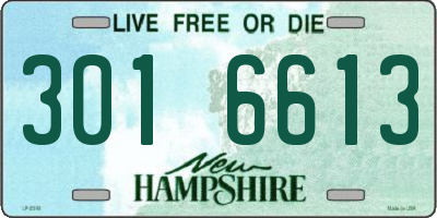 NH license plate 3016613