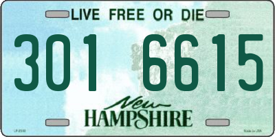 NH license plate 3016615