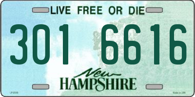 NH license plate 3016616