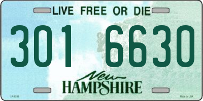 NH license plate 3016630