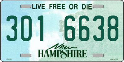 NH license plate 3016638