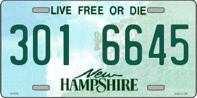 NH license plate 3016645