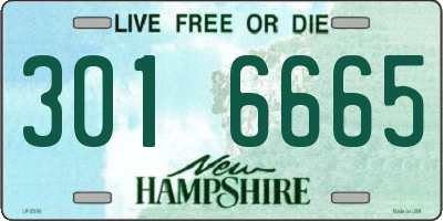NH license plate 3016665