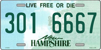 NH license plate 3016667