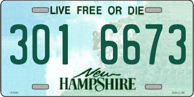 NH license plate 3016673