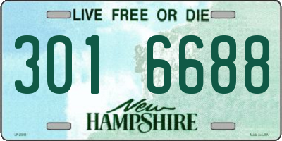 NH license plate 3016688