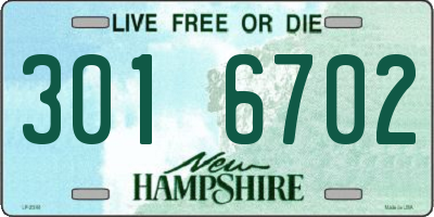 NH license plate 3016702