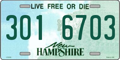 NH license plate 3016703