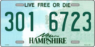 NH license plate 3016723