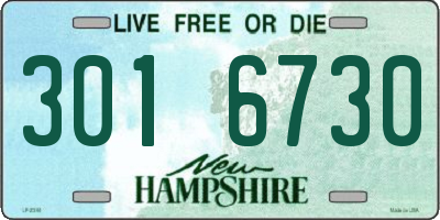 NH license plate 3016730