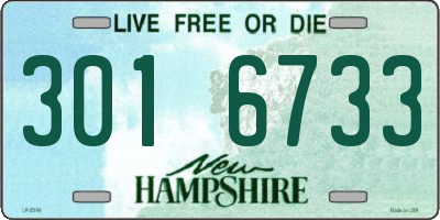 NH license plate 3016733
