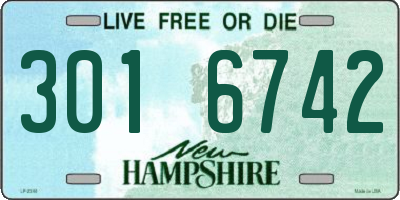 NH license plate 3016742