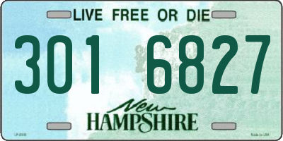NH license plate 3016827