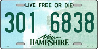 NH license plate 3016838