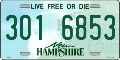 NH license plate 3016853