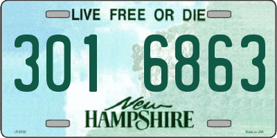 NH license plate 3016863