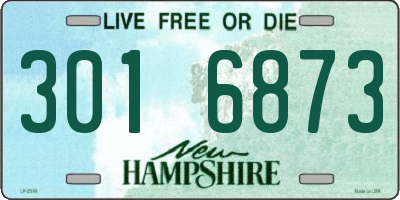 NH license plate 3016873