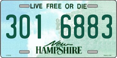 NH license plate 3016883