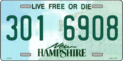 NH license plate 3016908