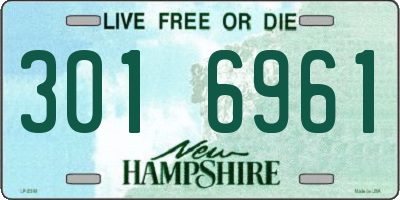NH license plate 3016961