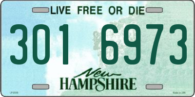 NH license plate 3016973