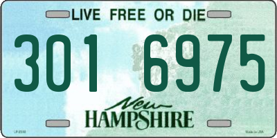 NH license plate 3016975