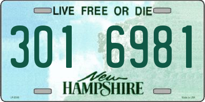 NH license plate 3016981