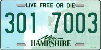NH license plate 3017003