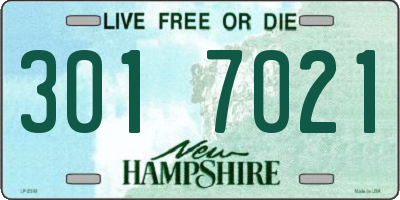 NH license plate 3017021