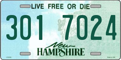 NH license plate 3017024