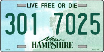 NH license plate 3017025