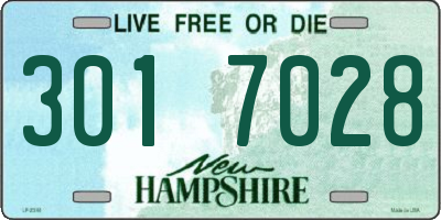 NH license plate 3017028