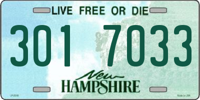 NH license plate 3017033