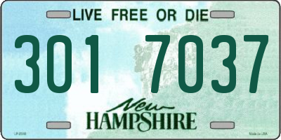 NH license plate 3017037