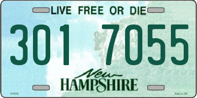 NH license plate 3017055