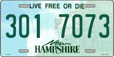 NH license plate 3017073