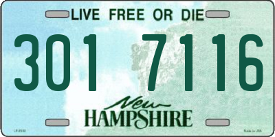 NH license plate 3017116
