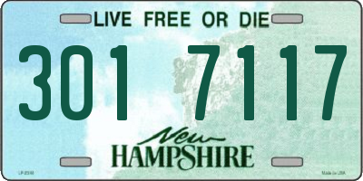 NH license plate 3017117